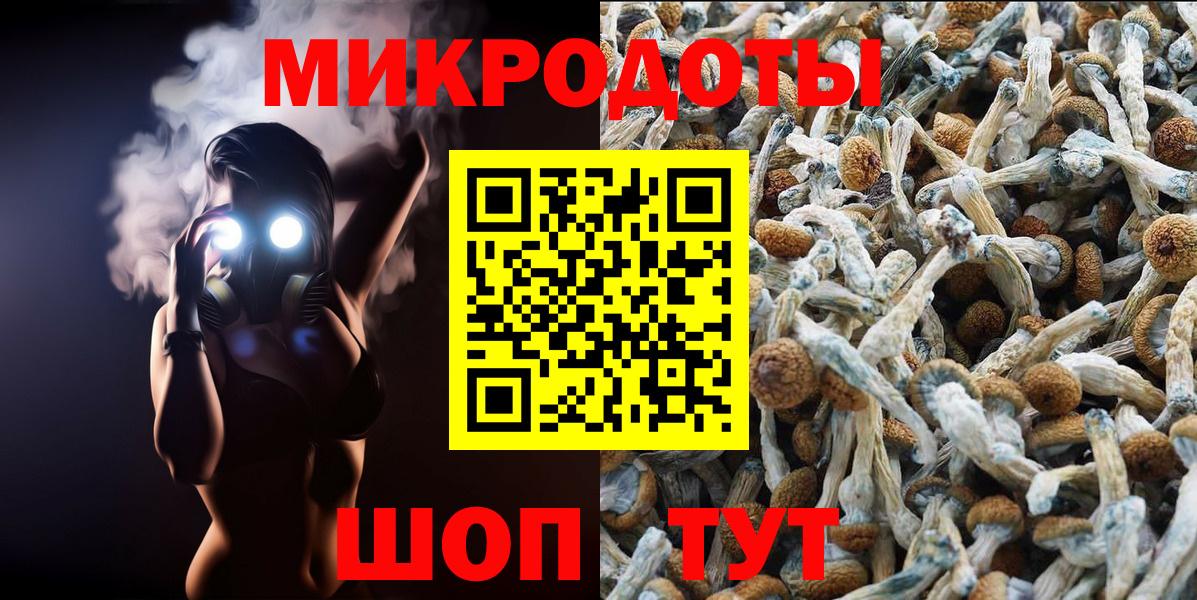 Галлюциногенные грибы GOLDEN TEACHER Малоярославец
